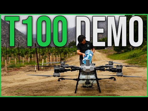 Видео: Демонстрация спрея DJI Agras T100 | Виноградник