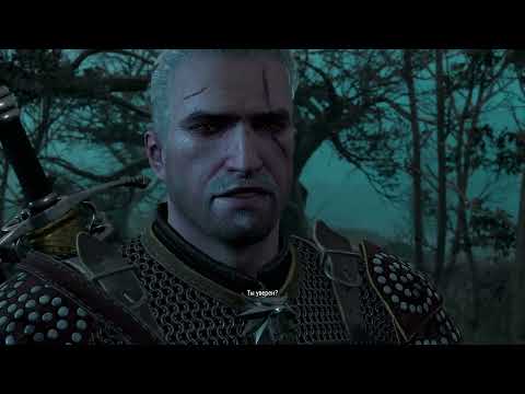 Видео: Lp. Ведьмак 3: Дикая охота №37 - ВЕРХОМ В КАЭР МОРХЕН