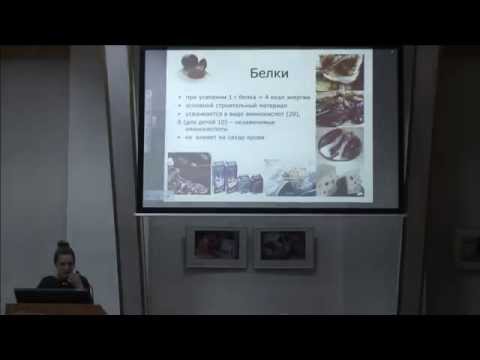 Видео: Профилактика сахарного диабета. Лекция врача-эндокринолога