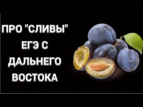 Видео: СТОИТ ЛИ СМОТРЕТЬ ЗАДАНИЯ ЕГЭ С ДАЛЬНЕГО ВОСТОКА?