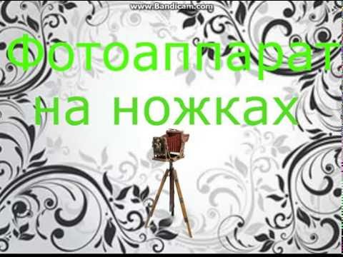 Видео: Аватария Страшилка-Смешилка Фотоаппарат на ножках (с озвучкой) Комикс