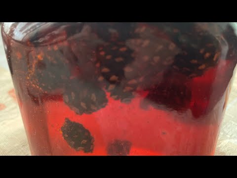 Видео: Варенье из шишек! От кашля и просто вкусно! Готовить долго но это того стоит! На кухне у Журавлевой!