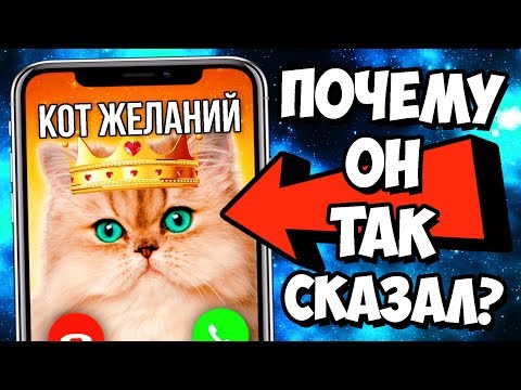 Видео: ЗВОНОК КОТУ ЖЕЛАНИЙ