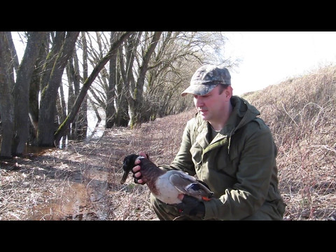 Видео: Лучший рецепт приготовления дикой утки. Видео пошаговое.