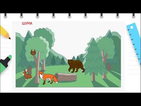 Видео: II одделение - Природни науки - Животни и растенија во светот