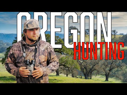 Видео: Нас пригласили поохотиться на чудовищного чернохвостого оленя | Поле боя к столу