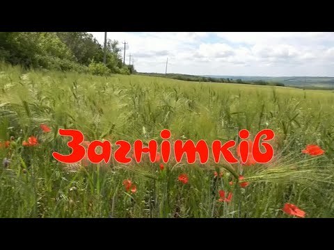 Видео: Запрошуємо в Загнітків!