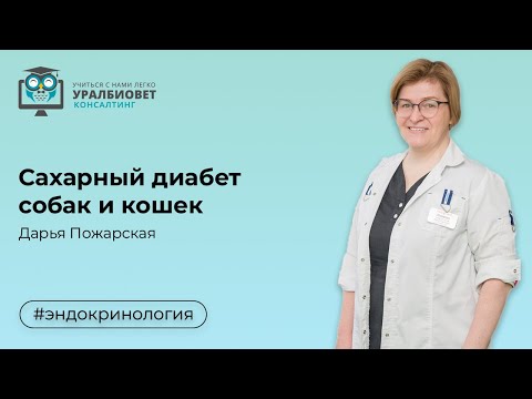 Видео: Сахарный диабет, лектор Дарья Пожарская