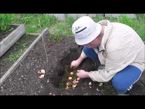 Видео: Лес-природа снова зовет меня.