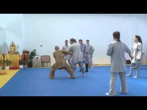 Видео: Искусство движений - интервью с Мастером Ши Янбином