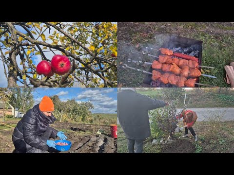 Видео: ВСЕ ЗБУЛОСЬ, І ЧАСНИК, І ШАШЛИК І ПЕРЕСАДКА. 🤗