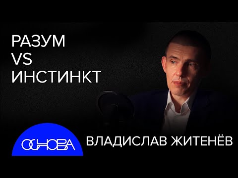 Видео: ЖИЗНЬ ПЕРВЫХ ЛЮДЕЙ: МОЗГ и ИНСТИНКТЫ, НАСКАЛЬНОЕ КИНО и ЧТО ТАКОЕ КРАСОТА