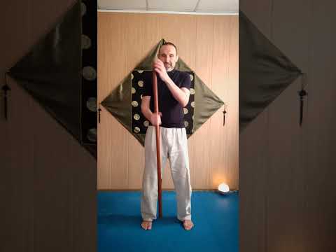 Видео: Упражненин с палкой вращение вперед / Exercises with a stick forward rotation (Виктор Лактионов)