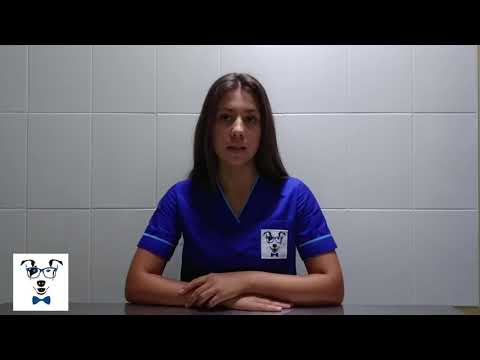 Видео: Симптомы сердечной недостаточности у домашних животных