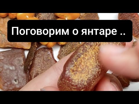 Видео: Поговорим о янтаре 