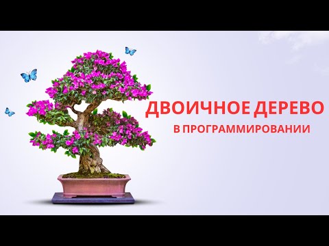 Видео: Двоичное дерево | простое объяснение