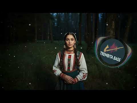 Видео: Trembita Bass - Сиджу я край віконечка (EDM)