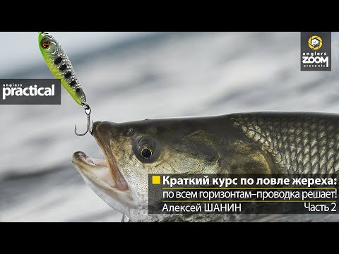 Видео: Краткий курс по ловле жереха: по всем горизонтам–проводка решает!  Алексей Шанин. Часть 2.