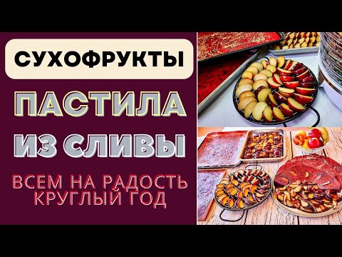 Видео: СУХОФРУКТЫ И ПАСТИЛА ИЗ СЛИВЫ - ВСЕМ НА РАДОСТЬ КРУГЛЫЙ ГОД! СУШУ В ДЕГИДРАТОРЕ И НА СОЛНЦЕ ტყლაპი