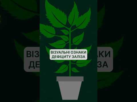 Видео: Залізо у живленні рослин: важливість та ознаки дефіциту. #живленнярослин #biology #garden #farming