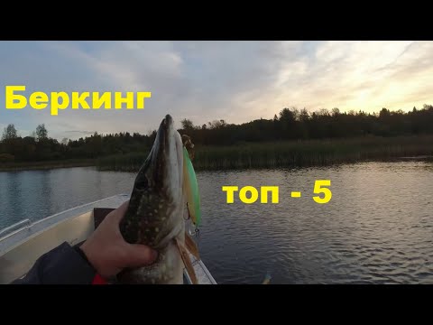 Видео: Топ 5 Беркинг