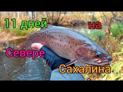 Видео: / 11 ДНЕЙ НА СЕВЕРЕ САХАЛИНА / ЛОВЛЯ ЛЕНКА И ХАРИУСА / Сахалинская рыбалка & Sakhalin fishing