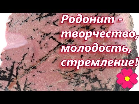 Видео: Родонит - творчество, молодость, стремление!