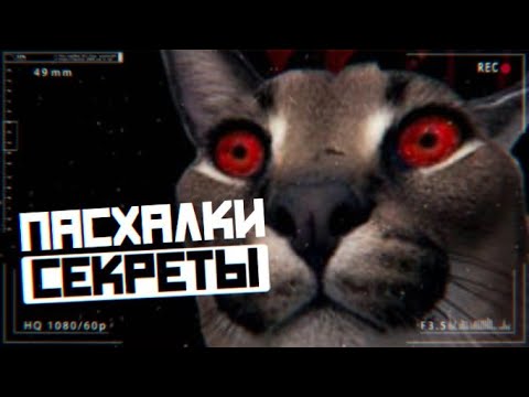 Видео: 10 ПАСХАЛОК И СЕКРЕТОК В Five Nights at Floppa 0 | ПАСХАЛКИ, СЕКРЕТКИ