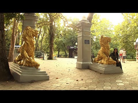 Видео: «Культурная навигация». Горячий Ключ