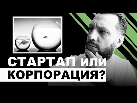 Видео: Куда пойти работать? Стартап или корпорация? Плюсы и минусы