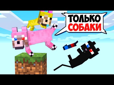 Видео: 🐶ОДИН БЛОК НО ОН ТОЛЬКО ДЛЯ СОБАК В МАЙНКРАФТ! ШЕДИ ЛЕСКА И НУБИК КОТ MINECRAFT