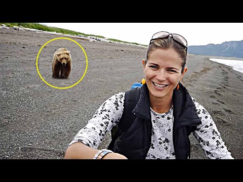 Видео: Вы ТОЧНО Готовы ЭТО Посмотреть?! Топ 20 Моментов Встречи Людей с Медведем