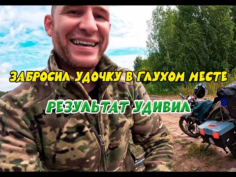 Видео: Забросил удочку в глухом месте, результат удивил..