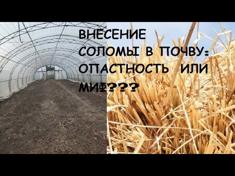 Видео: Внесение соломы и опилок в почву в теплице. Результат спустя 1 год. Отвечаю на вопросы.