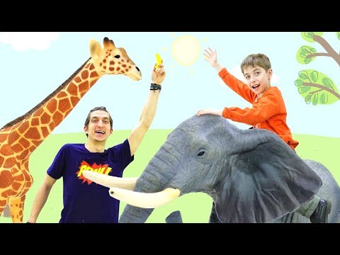 Видео: Видео про игры. Обзор игровых набороы. Зоопарк — удивительные животные