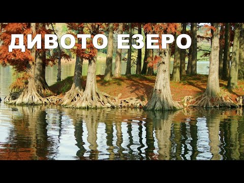 Видео: ЗИМЕН РИБОЛОВ на ТЕКЕТО с ФИДЕР - УСПЕШНИЯ МОНТАЖ с FEEDER GUM и КОШНИЦА