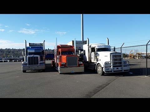 Видео: Дальнобой Америка. Обзор тяжеловесов. 2009 Kenworth w900. 2010 Peterbilt 389. 2005 Kenworth w900