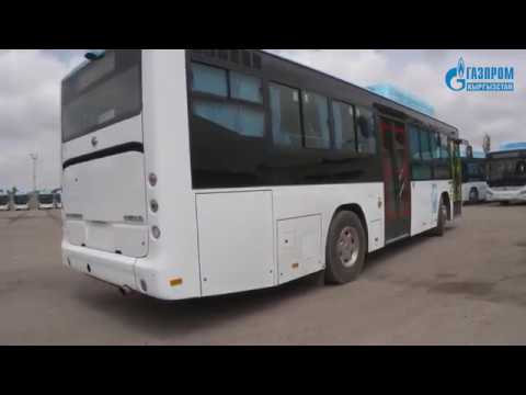 Видео: В Бишкек прибыли 60 автобусов на природном газе