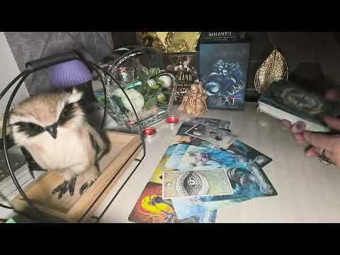 Видео: 🔥🤷Он запаниковал🔥.Он оочень хочет что-то Вам сказать🔥🤷