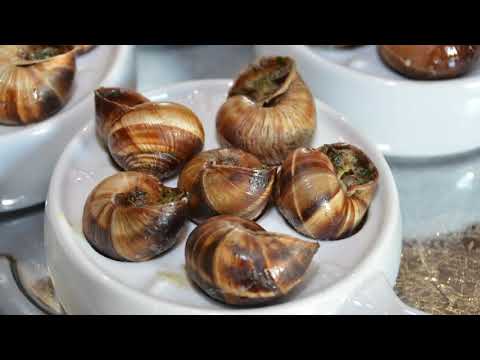 Видео: Дегустация виноградной улитки . Обзор козлятника и сыроварни !