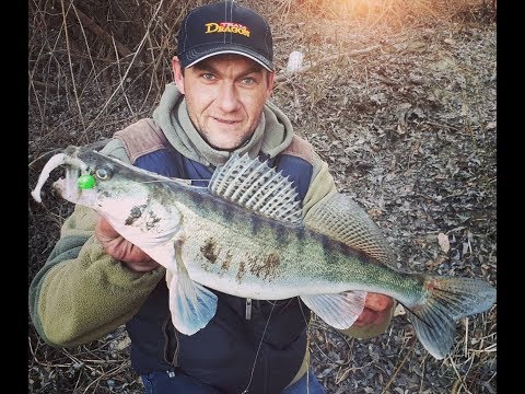 Видео: Судак в Апреле ! джиг с берега р.Десна