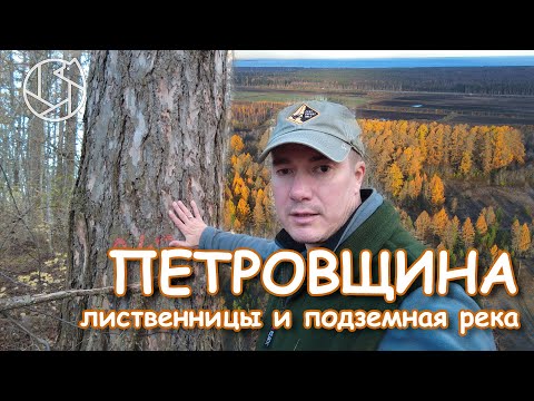 Видео: ПЕТРОВЩИНА: Лиственницы и подземная река