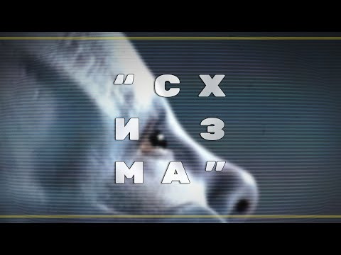 Видео: СХИЗМА: рассказ о песне SCHISM гр. TOOL | PMTV Channel