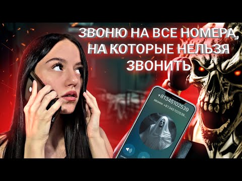 Видео: ЗВОНЮ На ВСЕ НОМЕРА, На Которые НЕЛЬЗЯ звонить… МНЕ ОТВЕТИЛИ
