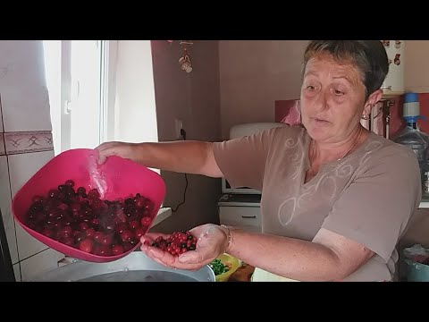 Видео: 100 литров компота за один день !Этот способ никогда не подводил