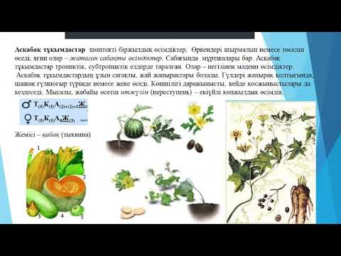 Видео: Қосжарнақтылар класы