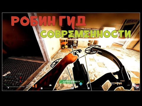Видео: РОБИН ГУБ СОВРЕМЕННОСТИ#dmz