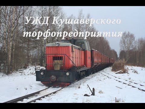 Видео: УЖД Кушаверского торфопредприятия