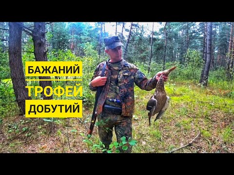 Видео: Охота на пернатых из засады, патроны самокрут, ружье FABARM H38 LION HUNTER...