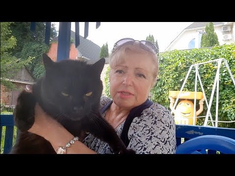 Видео: VLOG: КУПИЛА ЦВЕТЫ.МОИ РАКУШКИ. ПОХОД НА РЫНОК🐈‍⬛🐠🌼